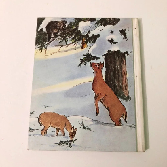 Vtg 1970 Pricky A Pet Porcupine Book Elizabeth Greenleaf Oddo - Picture 4 of 16